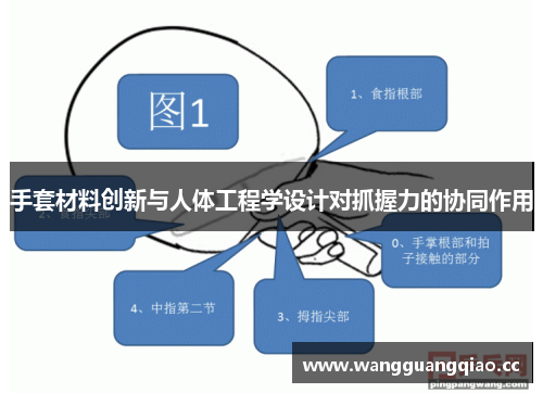 手套材料创新与人体工程学设计对抓握力的协同作用